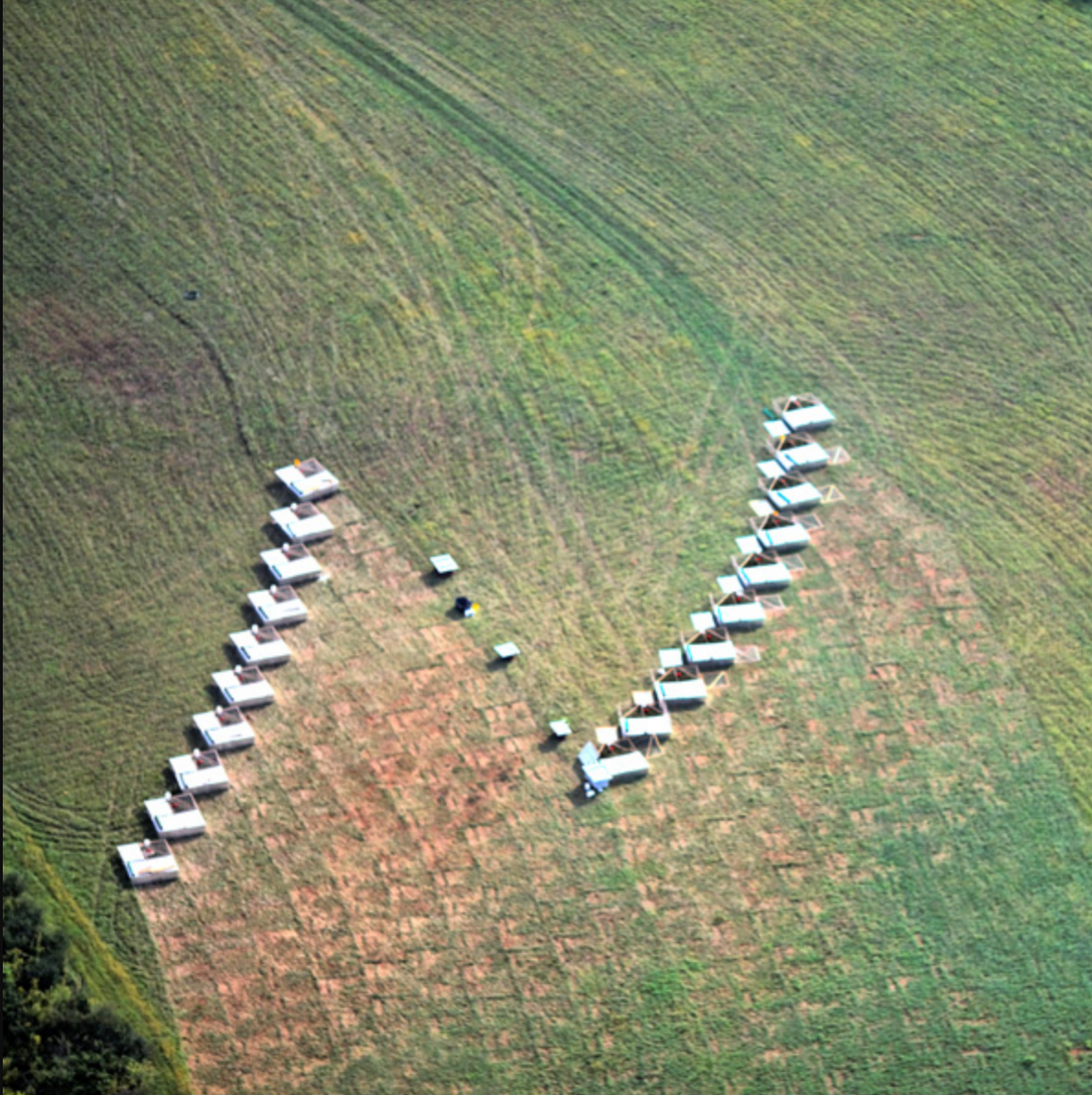 Let's Talk Sh*t - The Importance Of Grazing Management To Optimize The Spread of Manure