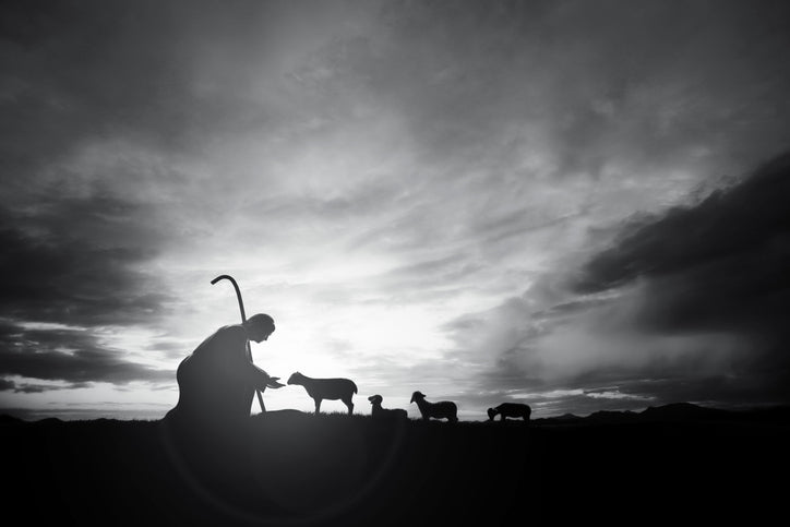 Eating as God Intended: A Biblical Perspective on Food and Farming
