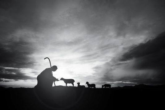 Eating as God Intended: A Biblical Perspective on Food and Farming