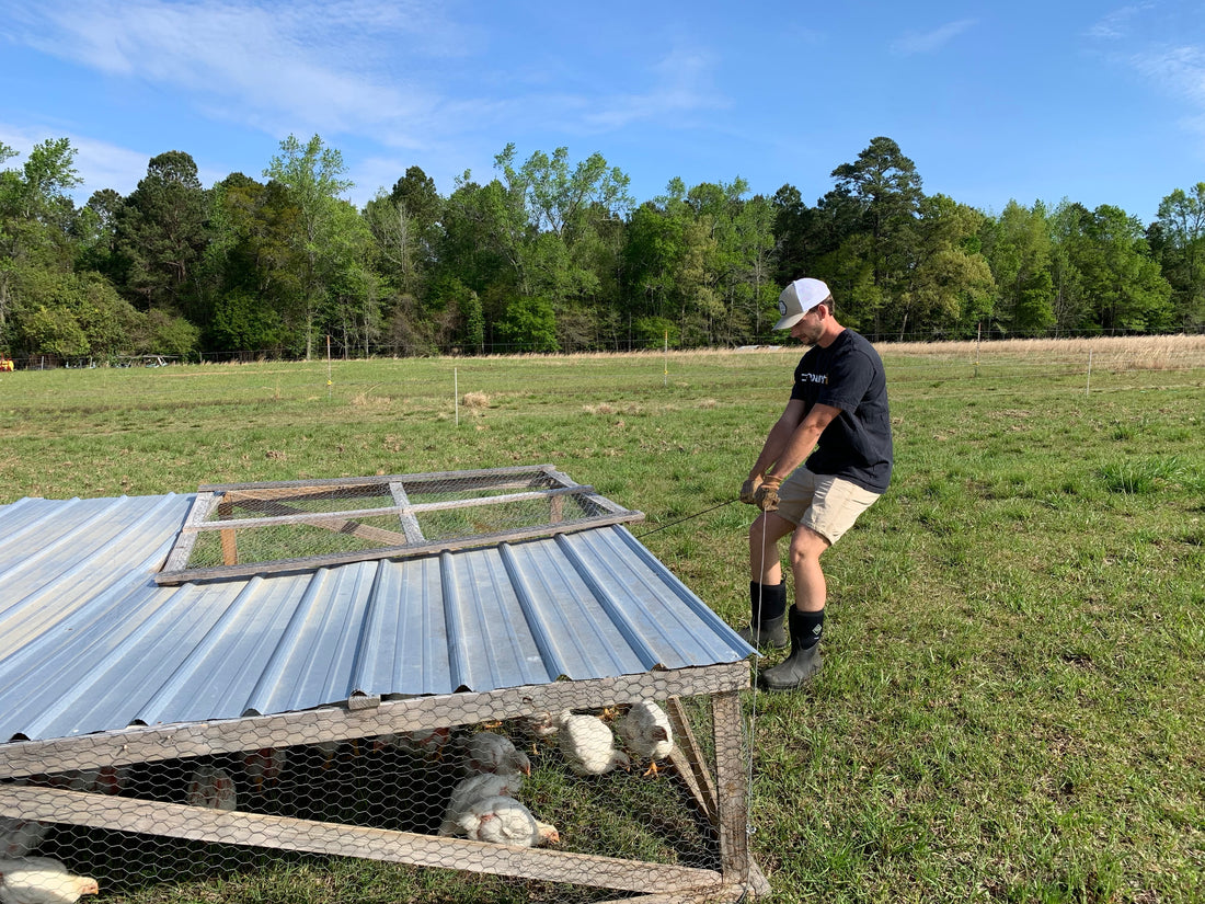 Why Fat Mountain Farms is Combining Farming & Fitness